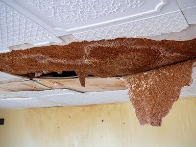 Professional water damage restoration services in Lagrangeville